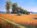 HM(1)126.JPG