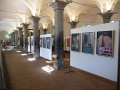 Nassauer Stall 2014.5.JPG